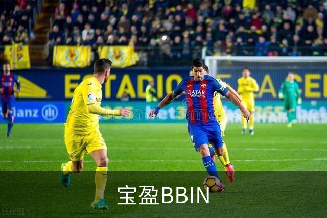 宝盈BBIN 公司简介